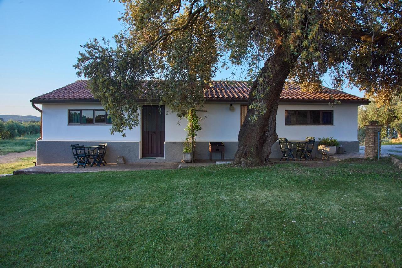 Agriturismo Tesorino Massa Marittima Exterior foto